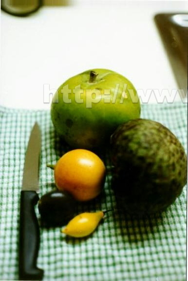 D06_Fruit on Table_Phillipe Laborie