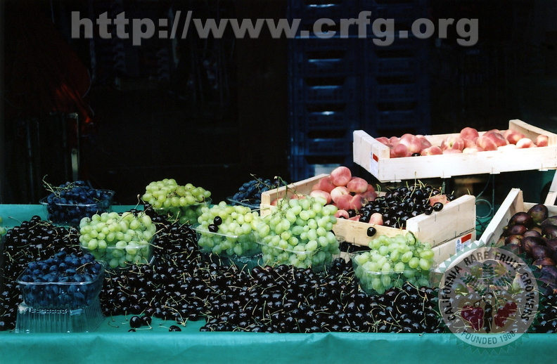 E01_Display of Grapes, Cherries, Blueberries, and Peaches_Roberta Hofmann