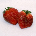 K04_Heart Shaped Strawberries
