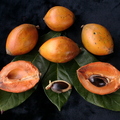 R11_Green Sapote Fruits