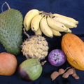 R41_Tropical Fruit Medley