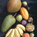 R42_Tropical Fruit Medley 3