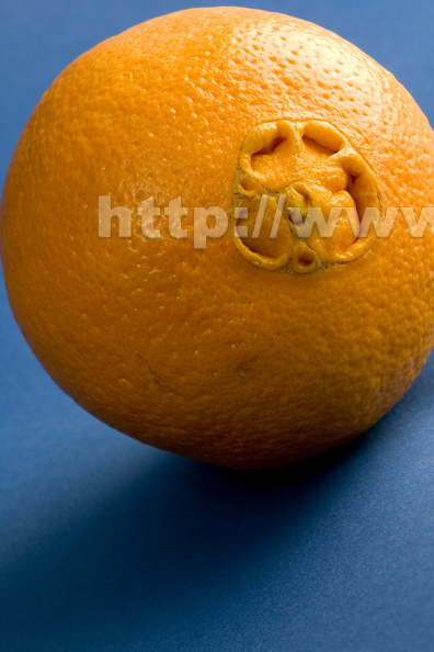 F01_rathsack_orange fruit contest
