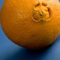 F01_rathsack_orange fruit contest
