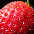 J02_Strawberry