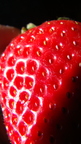 J03_Strawberry 2