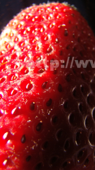 J04_Strawberry3.jpg