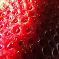 J04_Strawberry3