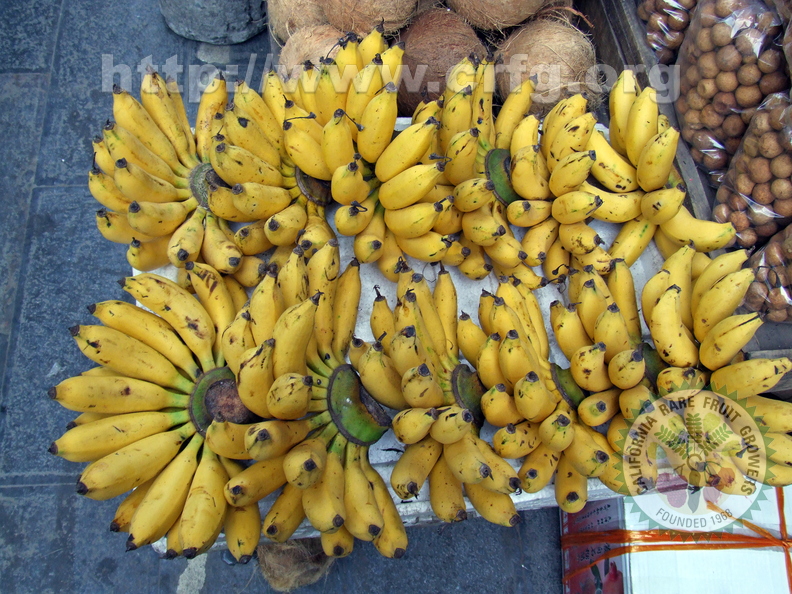 K15_Bananas at market