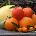 R14_Pummelo & Mandarins & Kumquats