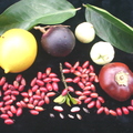 Y25_Miracle Fruits in Group of Fruits