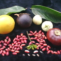 Y26_Miracle Fruit in Group of Fruits 2