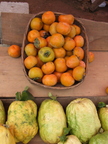 P18_Citrus medica in road stalls