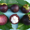 S14_Mangosteen Crossection with Group