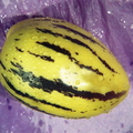 T09_Solanum muricatum - Pepino Dulce