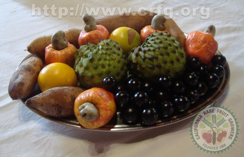 Breakfast Fruits