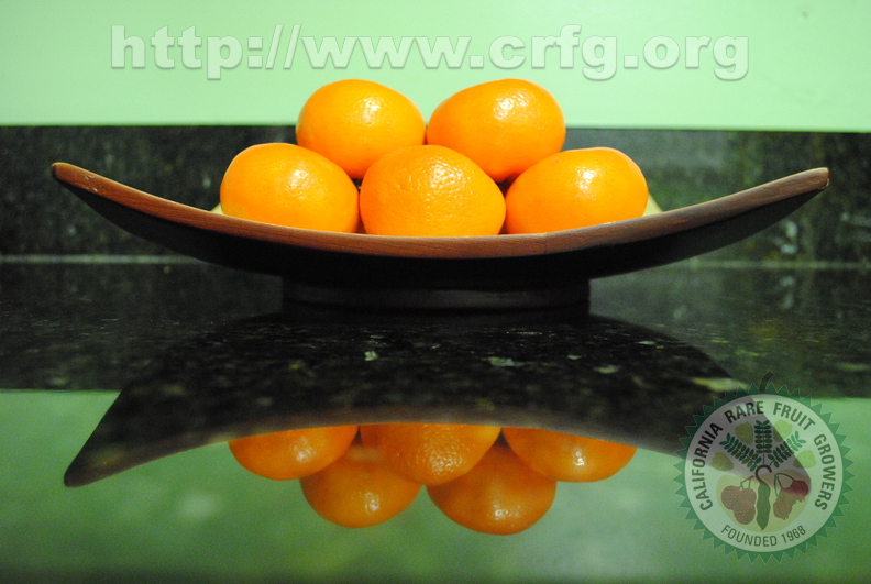 Reflection of Clementines