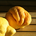 G33_portuguese lemon.JPG
