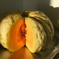 G34_prescott melon.JPG