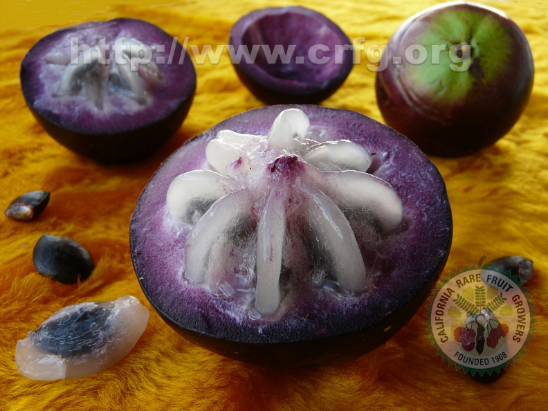 Starapple Closeup with Seeds