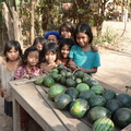 Watermelons in Cambodia