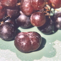 Vitus vinifera Seedless california Grapes 4-sectioned_1