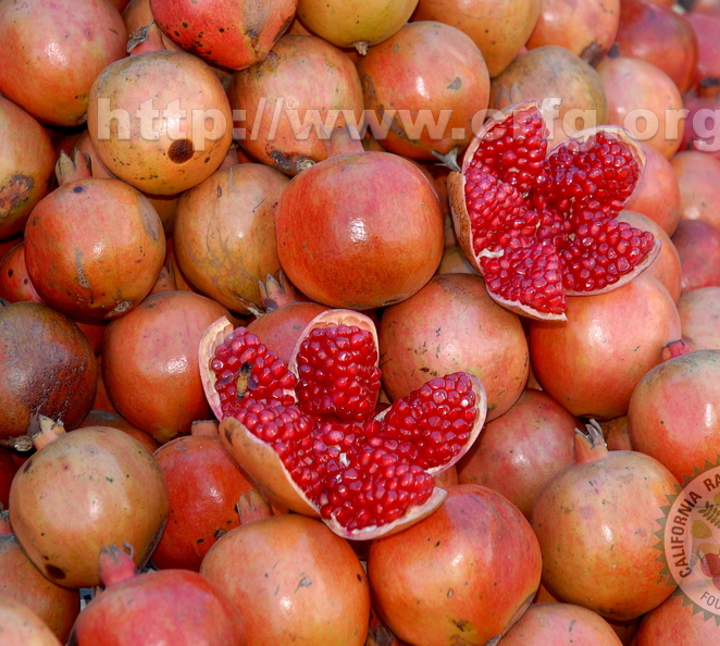 pomegranate2.jpg