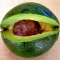 Avocado Casco de Burro