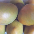 Beautiful sweet & smooth mangoes