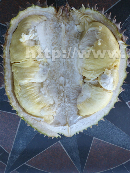 Durian_Interior.jpg