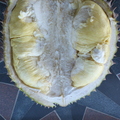 Durian Interior