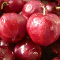 Cherry Acerola (1)