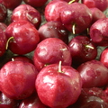 Cherry Acerola (2)
