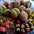 Durians Rambutans Mangosteens