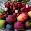 Mangoes Bulala Lychees Rambutans