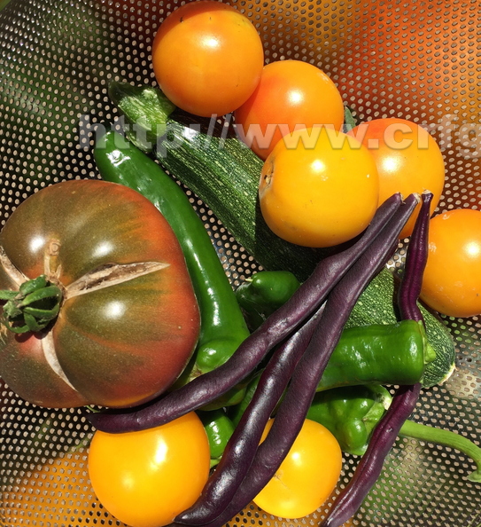 F04_Summer_Fruits_Taxi_Heirloom_and_Valencia_Tomatoes.jpg