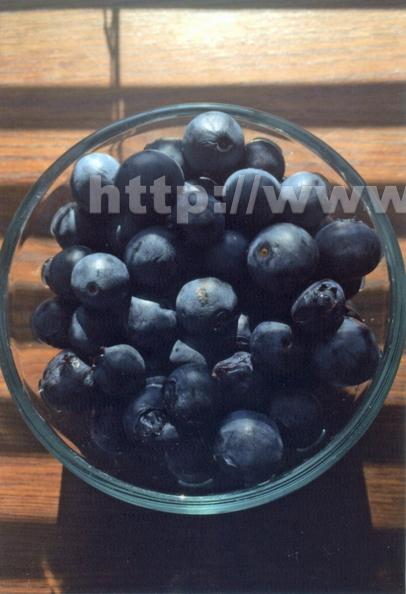 L03_Blueberries.jpg