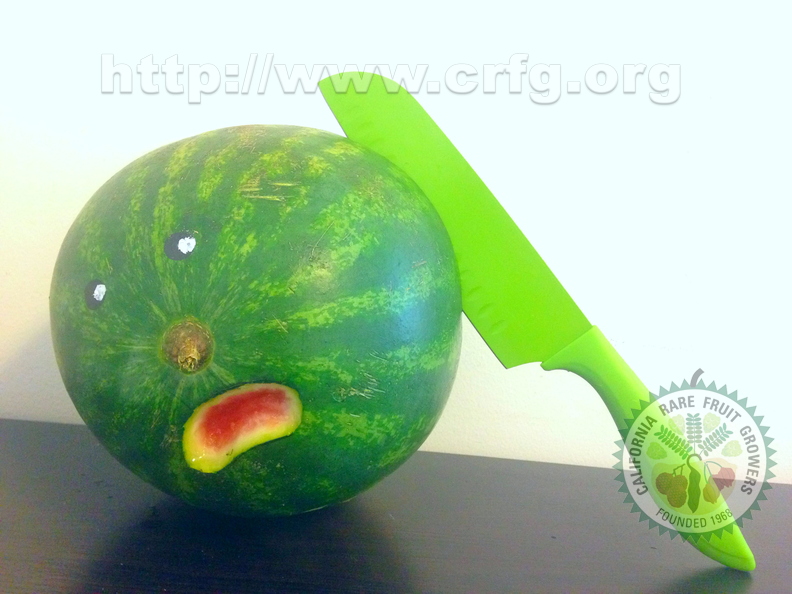 Don't bring a watermelon to a knife fight.