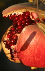 Fourth Place Winner! Fruit, Pomegranate ‘Wonderful’ Molly M. McGinnis Manteca, California