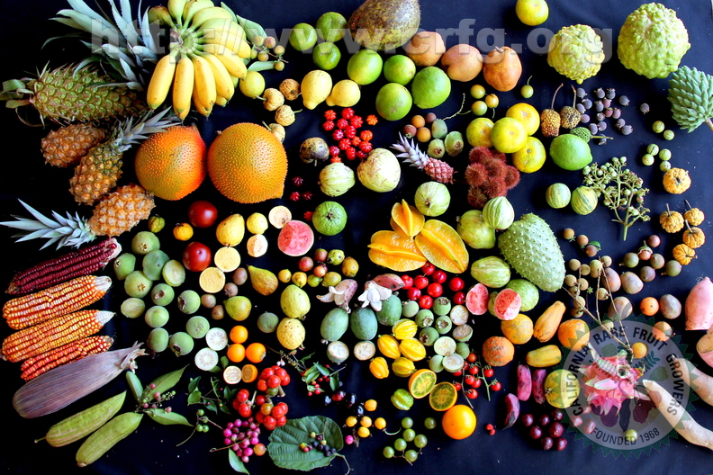 D45_Several_Fruits_Of_My_Small_Farm.JPG