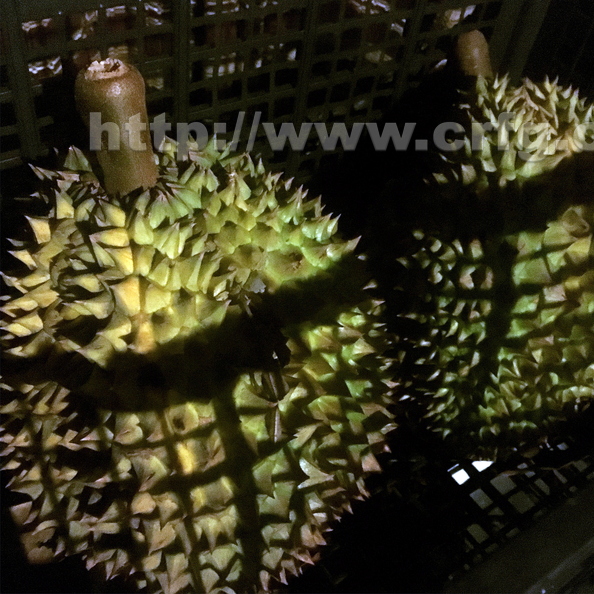 basket of durian.jpg