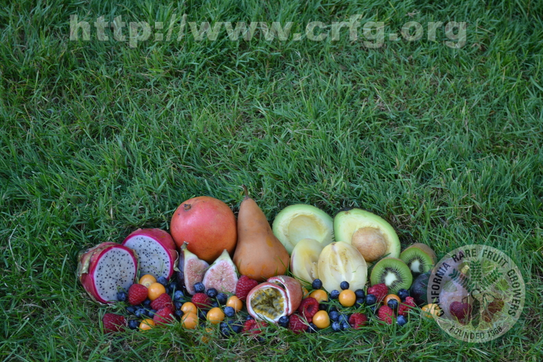 Colorful Assortment of Fruit (both cut and whole) : Dragon Fruit (Pitaya), Bosc Pear, Mango, Hass Avacado,  Common Figs (Ficus Carica), Passion Fruit,Pepino Melon, Rasberries, Yellow Berries (Physalis Peruviana/Cape Gooseberry), Kiwi, and Blueberries. 