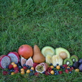 Colorful Assortment of Fruit (both cut and whole) : Dragon Fruit (Pitaya), Bosc Pear, Mango, Hass Avacado,  Common Figs (Ficus Carica), Passion Fruit,Pepino Melon, Rasberries, Yellow Berries (Physalis Peruviana/Cape Gooseberry), Kiwi, and Blueberries. 