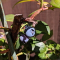 IMG_20190714_155848.jpg