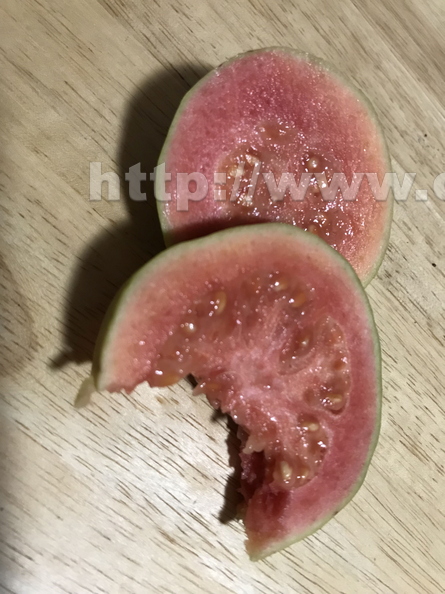 One-and-a-half Watermelon Guava slices.jpg