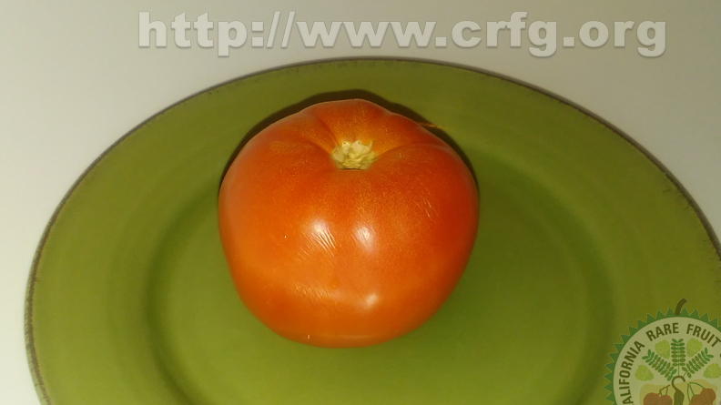 AS02_Tomato 2.jpg