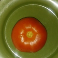 AS03_Tomato 3.jpg