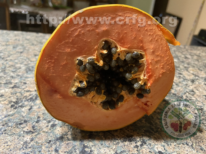 Papaya Section