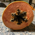 Papaya Section