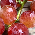 Seedless Purple Grapes